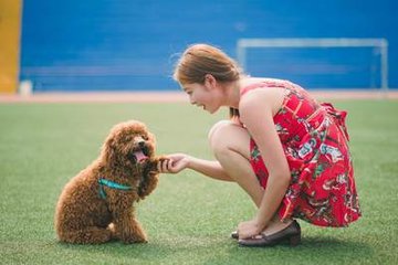 小狐狸钱包|(MetaMask)钱包安卓版