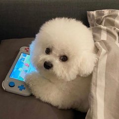 虚拟币钱包软件