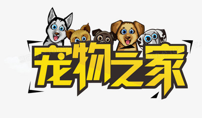 小狐狸怎么切换钱包卡