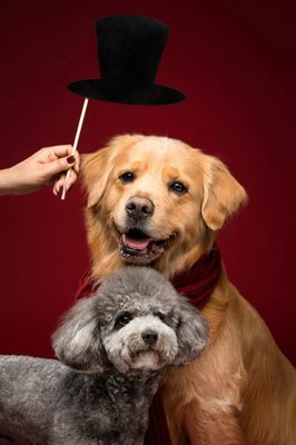 metamask钱包地址字符串